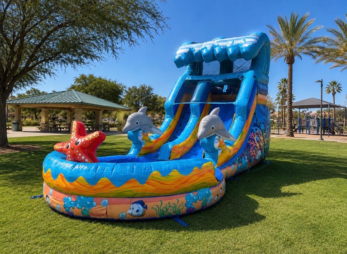 Dolphin World dual-lane water slide rental